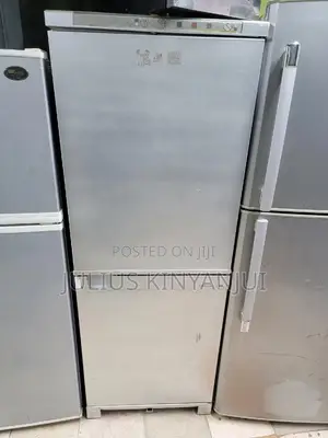 Bottom Freezer Fridge