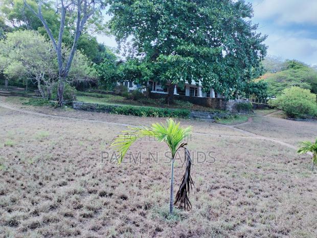 Tiwi Beach Paradise!! - thumbnail 9