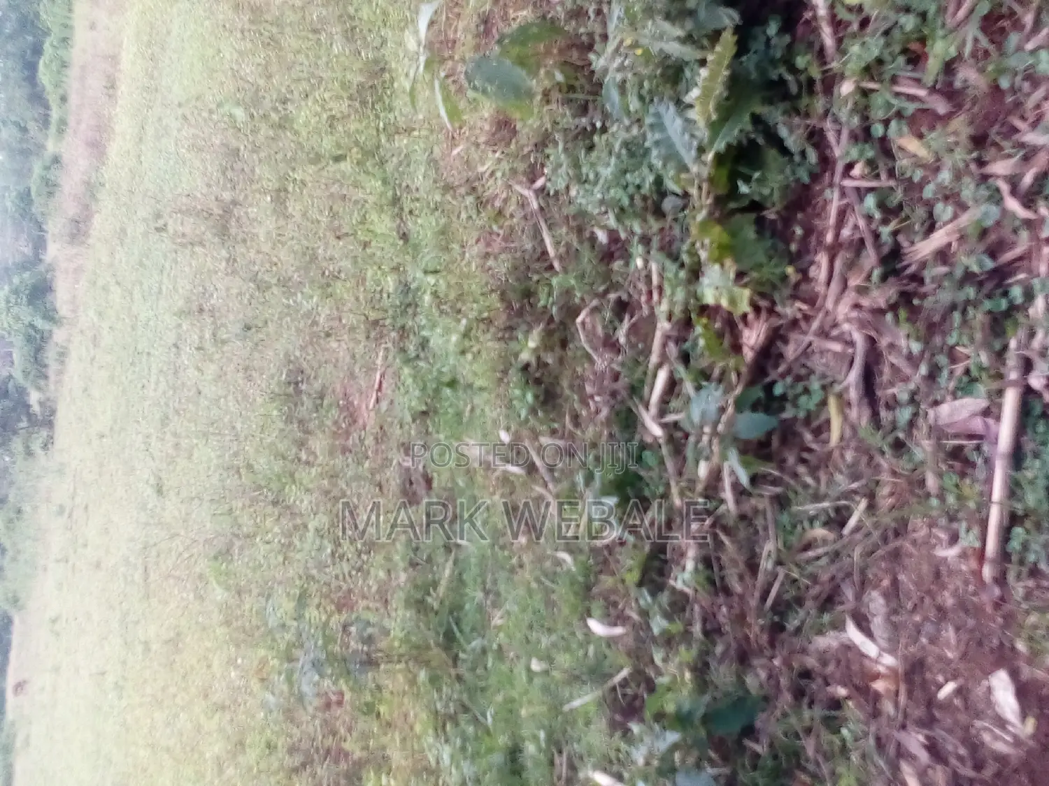 50 by 100 Feet Plot for Sale