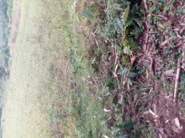 50 by 100 Feet Plot for Sale