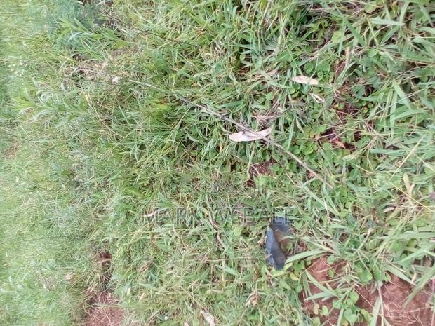 50 by 100 Feet Plot for Sale - thumbnail 3
