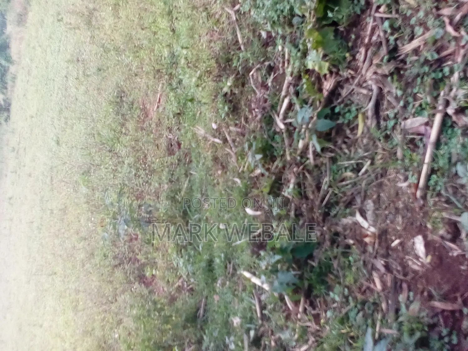 50 by 100 Feet Plot for Sale