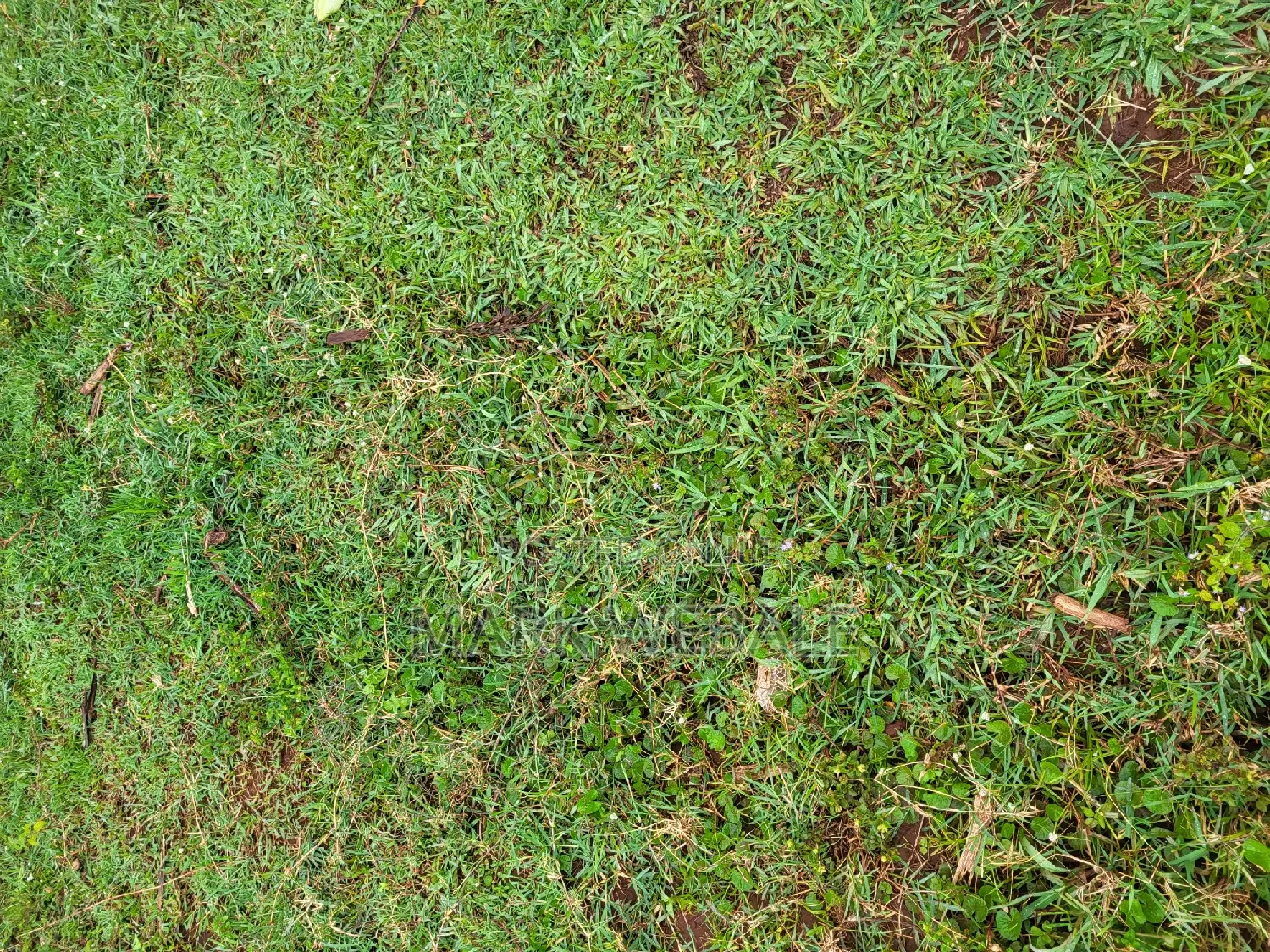 1.75 Acres Farm Land for Sale