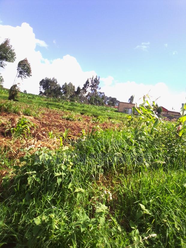 1⁄4 (100 by 100) Gitithia, Uplands - thumbnail 3