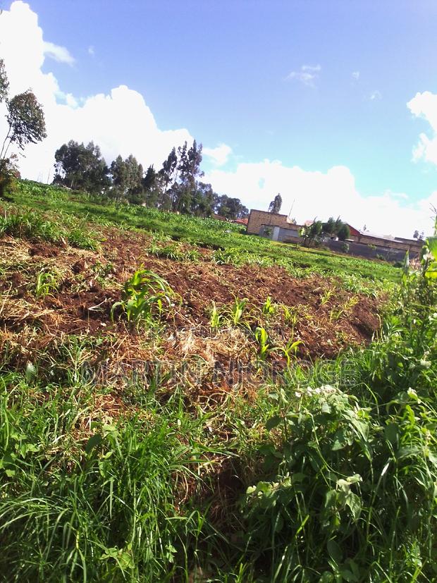 1⁄4 (100 by 100) Gitithia, Uplands - main view