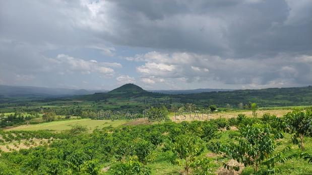 Prime Land at Moiben the Land Size 560 Acres 2.5m Per Acre.