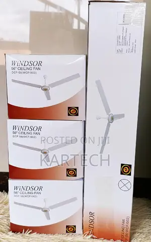 Windsor Ceiling Fan 56"