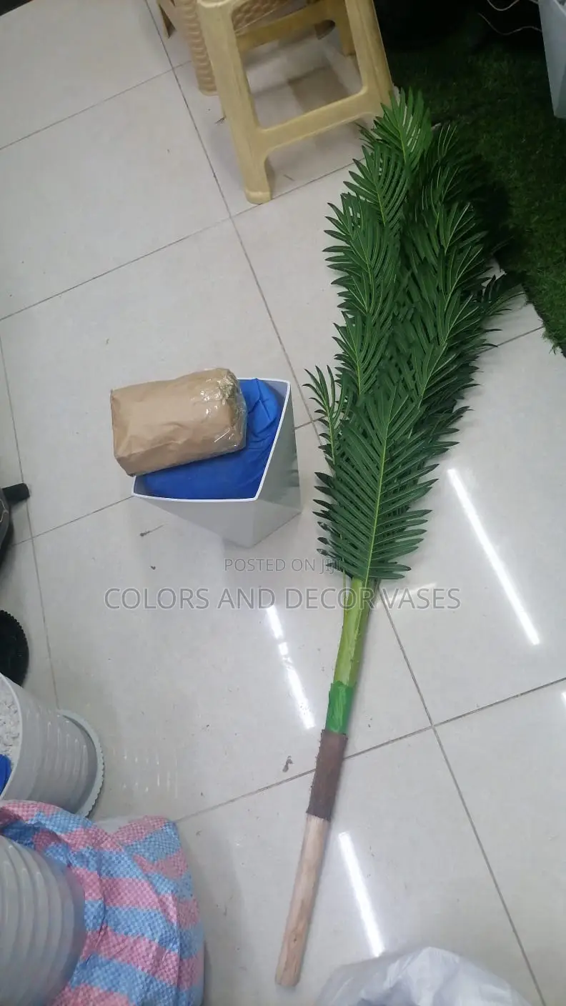 Palm Tree 1.8m