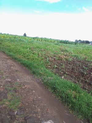 1 Acre Mwiciringiri, Naivasha - main view