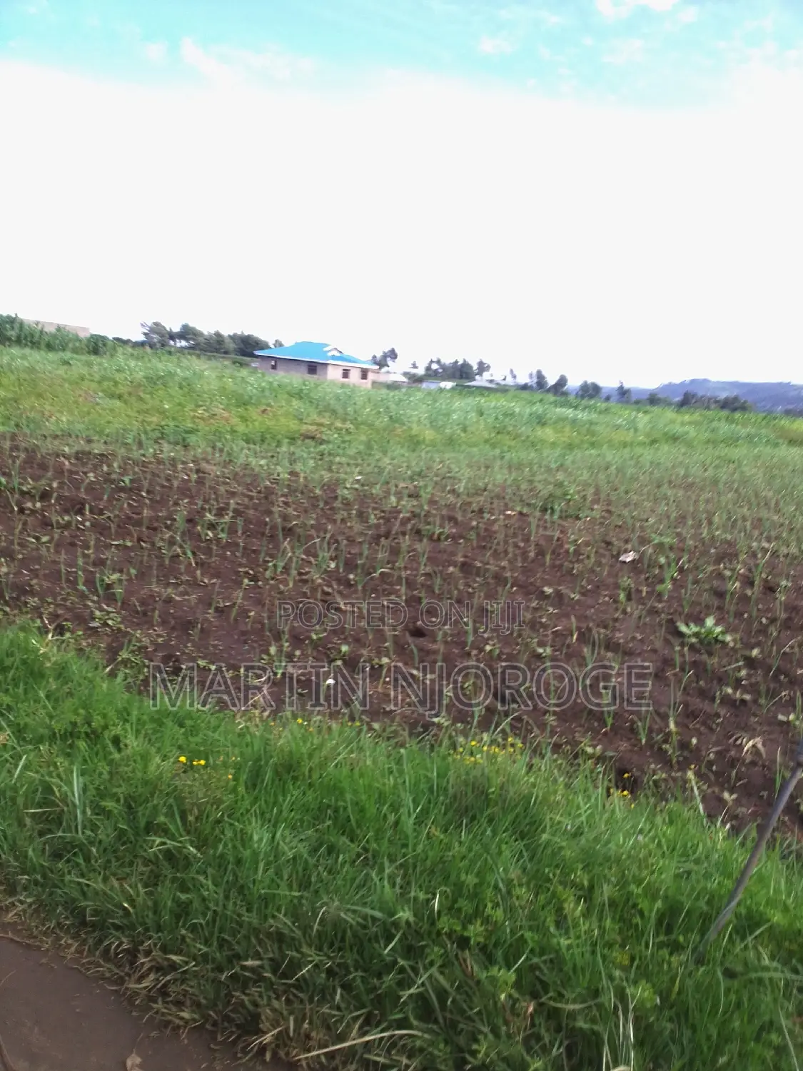 1 Acre Mwiciringiri, Naivasha