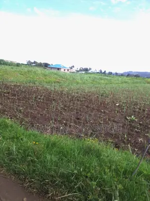 1 Acre Mwiciringiri, Naivasha