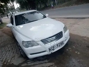 Toyota Mark X 2010 White