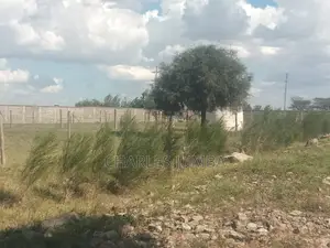 Plots Near Saitoti's Place