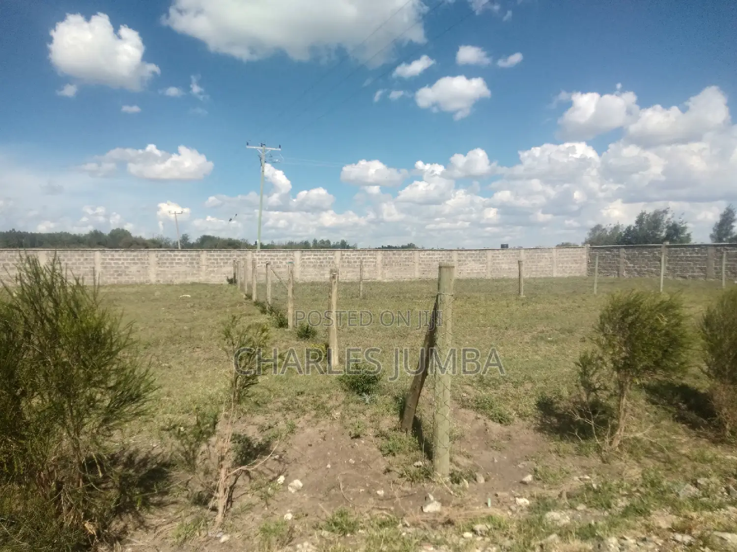 Plots Near Saitoti's Place