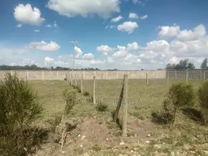 Plots Near Saitoti's Place