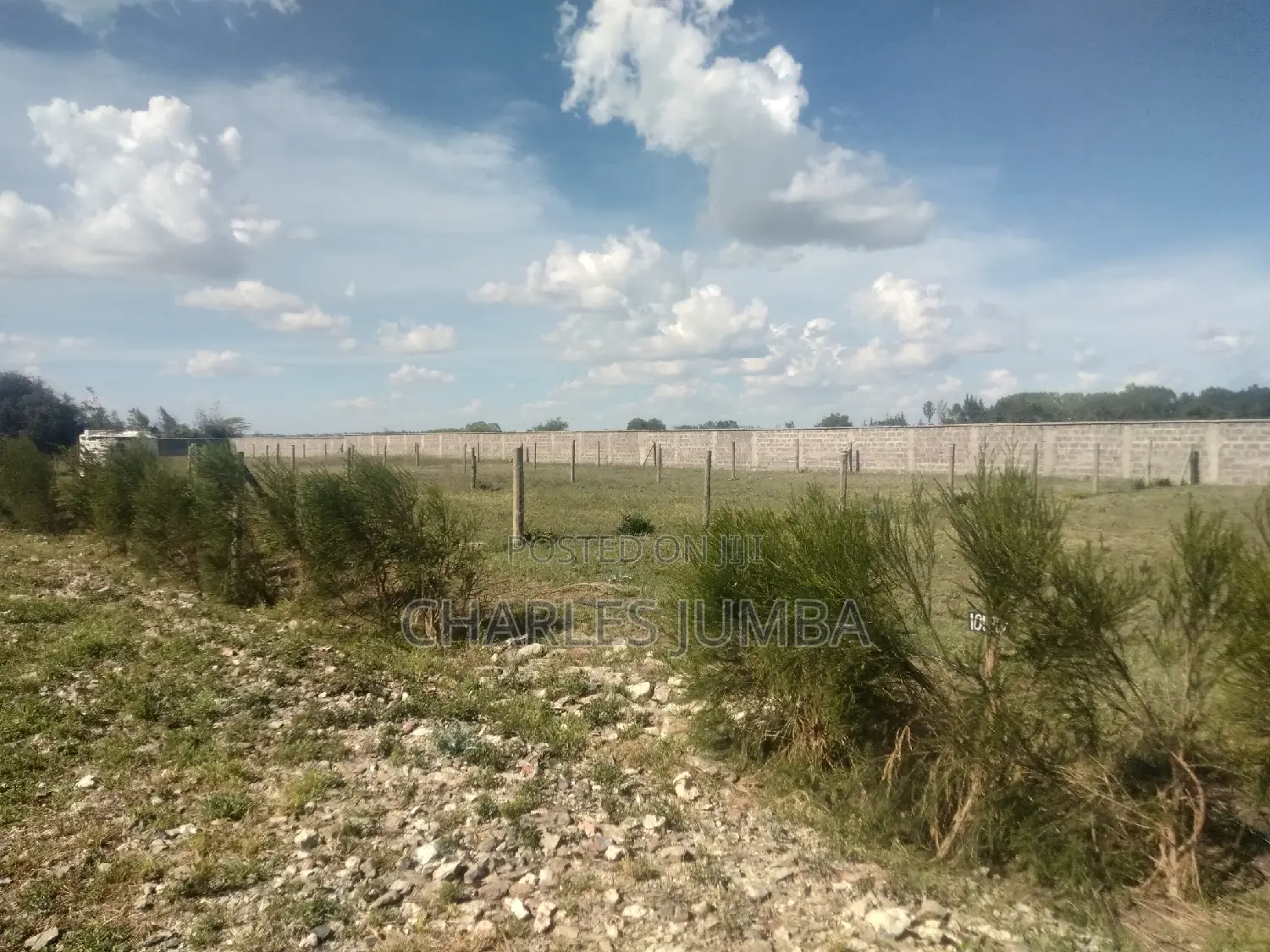 Plots Near Saitoti's Place