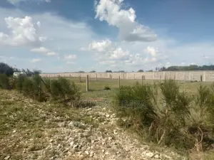 Plots Near Saitoti's Place