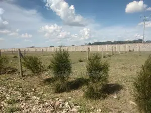 Plots Near Saitoti's Place