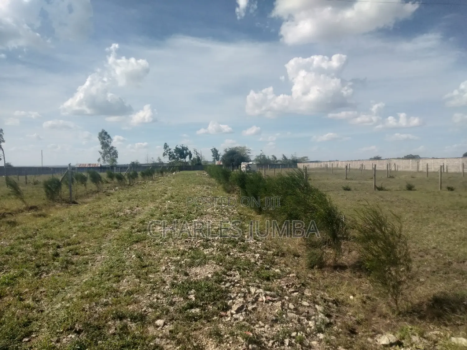 Plots Near Saitoti's Place