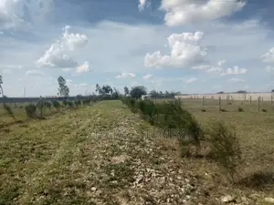 Plots Near Saitoti's Place