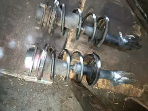 Premio Nyoka Shocks
