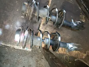 Premio Nyoka Shocks