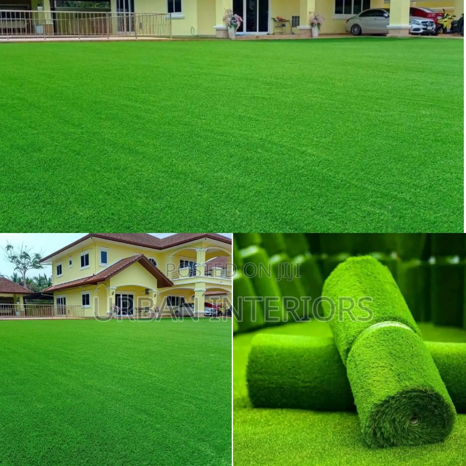 Grass Carpet Grass Carpet Grass Carpet Grass Carpet