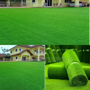 Grass Carpet Grass Carpet Grass Carpet Grass Carpet