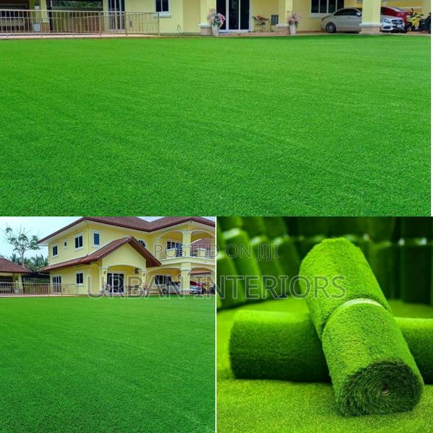 Grass Carpet Grass Carpet Grass Carpet Grass Carpet