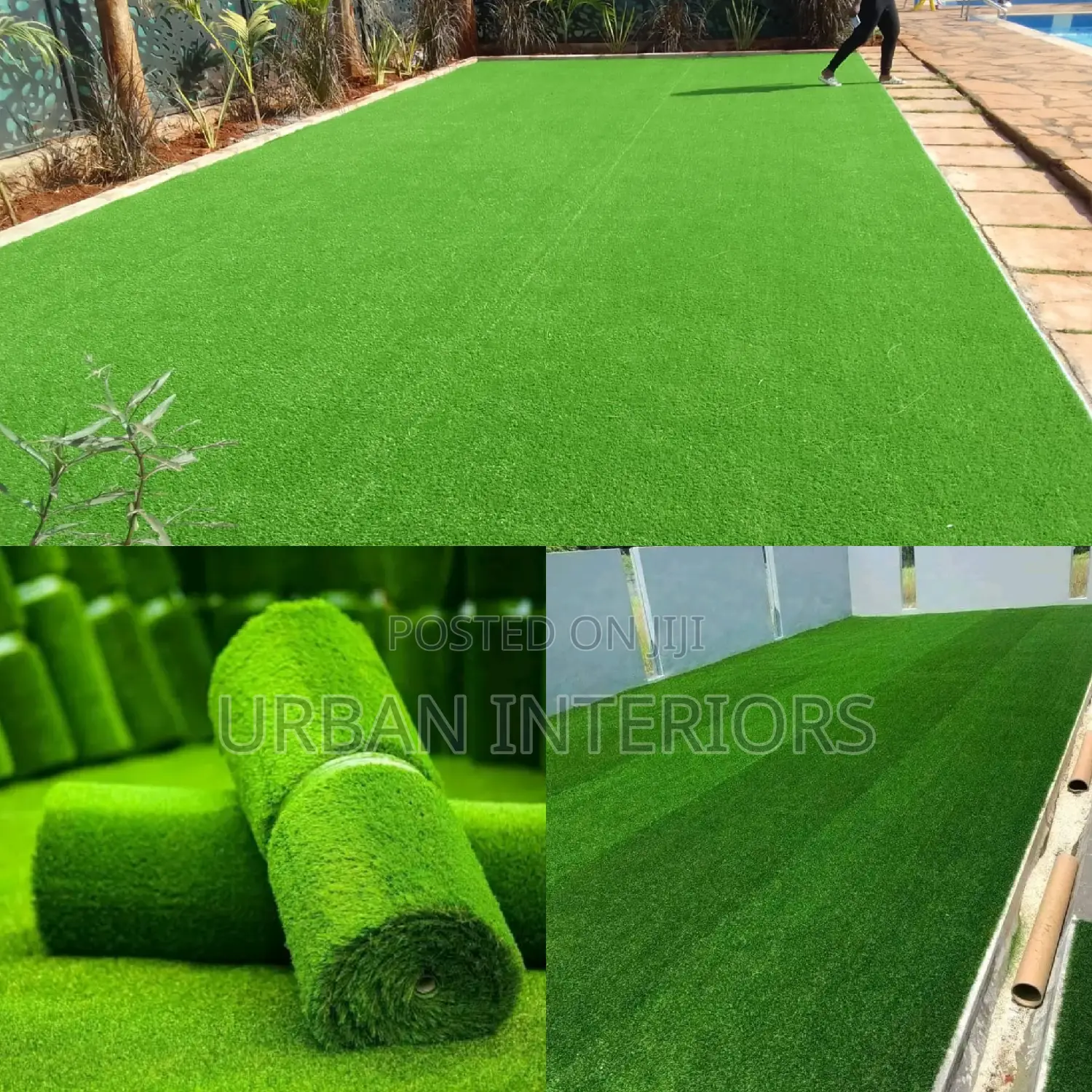Grass Carpet Grass Carpet Grass Carpet Grass Carpet