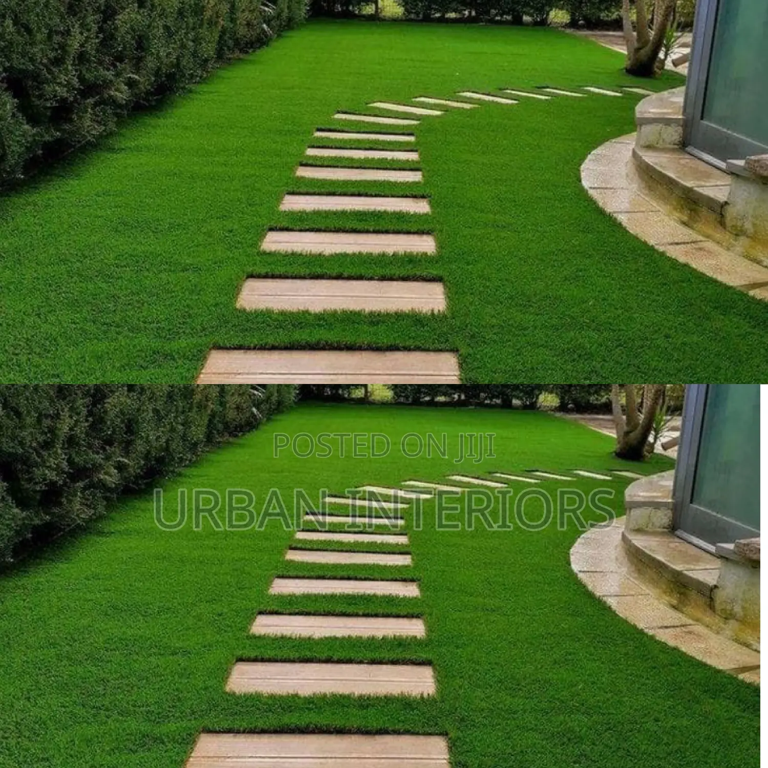 Grass Carpet Grass Carpet Grass Carpet Grass Carpet