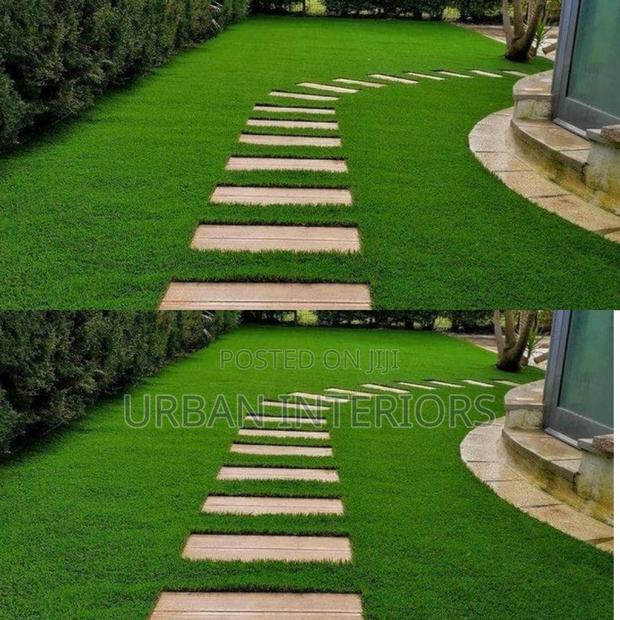 Grass Carpet Grass Carpet Grass Carpet Grass Carpet - main view