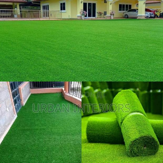 Grass Carpet Grass Carpet Grass Carpet Grass Carpet - main view