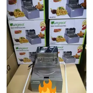 6 Litres Single Electric Deep Fryer