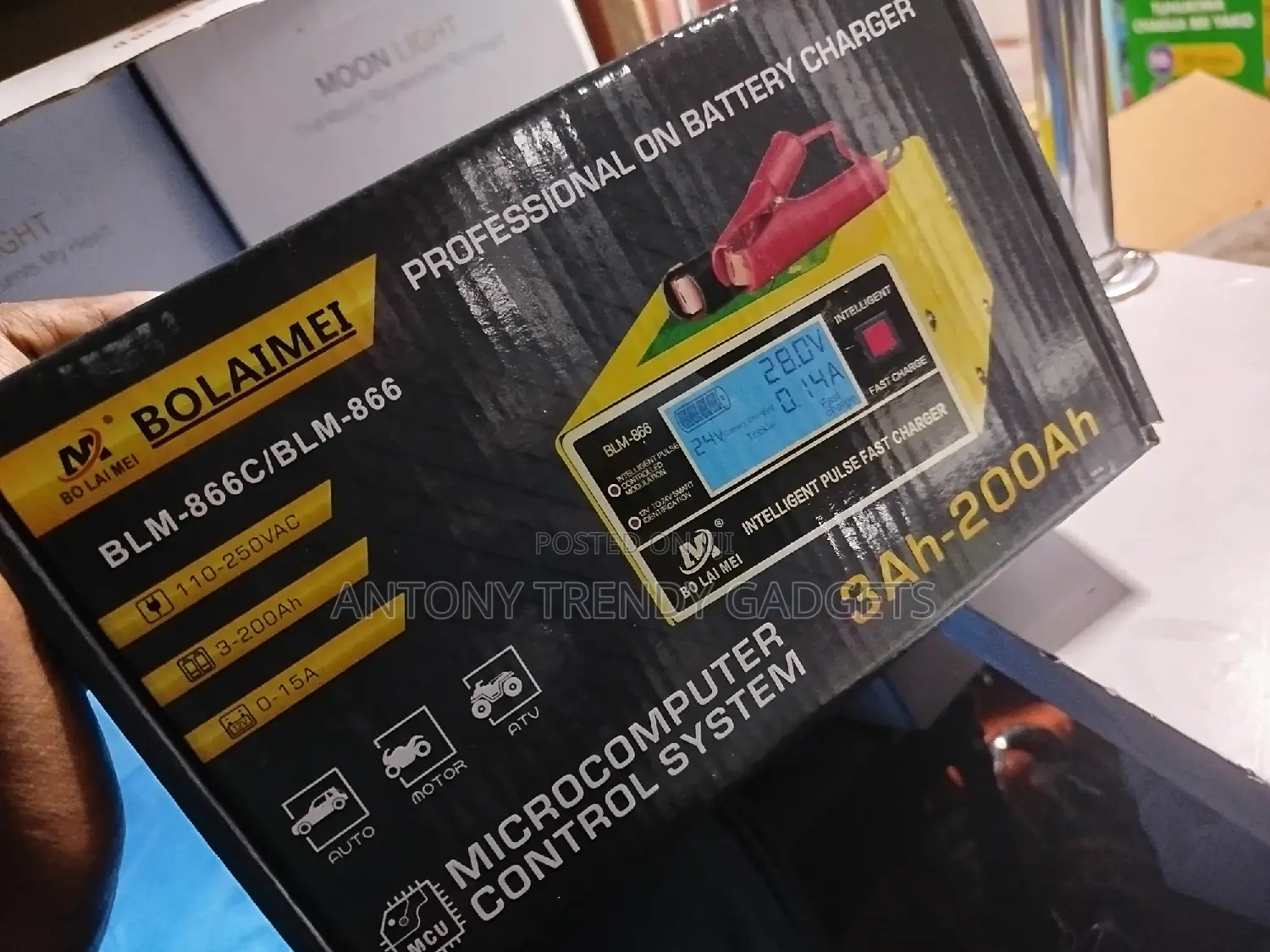 Professional Battery Charger/Car Charger/3ah-200ah