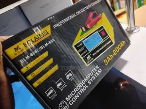 Professional Battery Charger/Car Charger/3ah-200ah