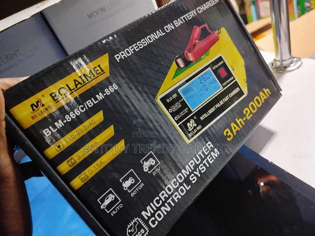 Professional Battery Charger/Car Charger/3ah-200ah