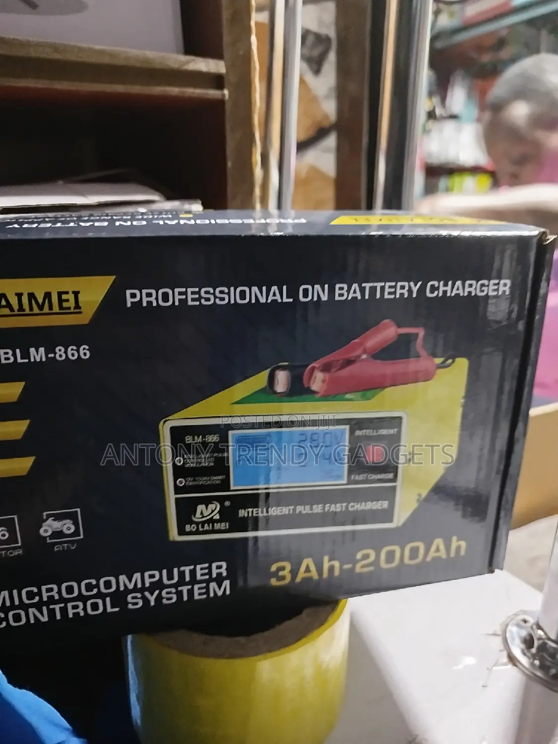 BLM-866 Professional Battery Charger
