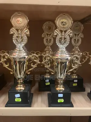 Trophy Award With v Design