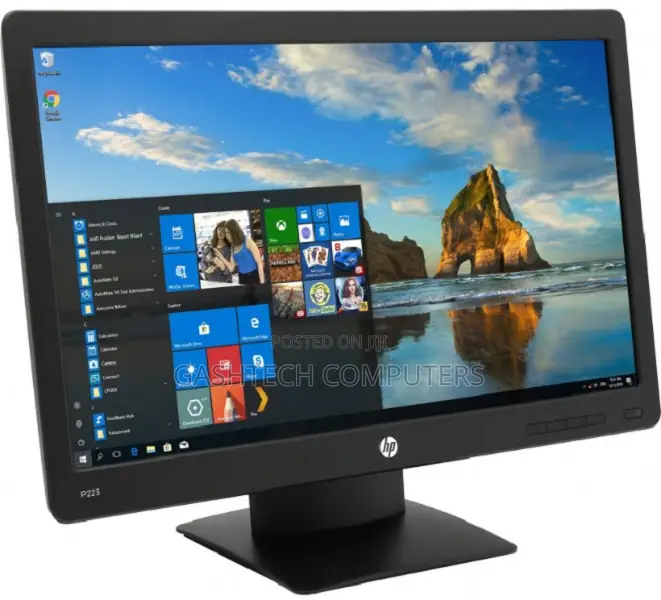 HP PRO Display P203 20" Monitor