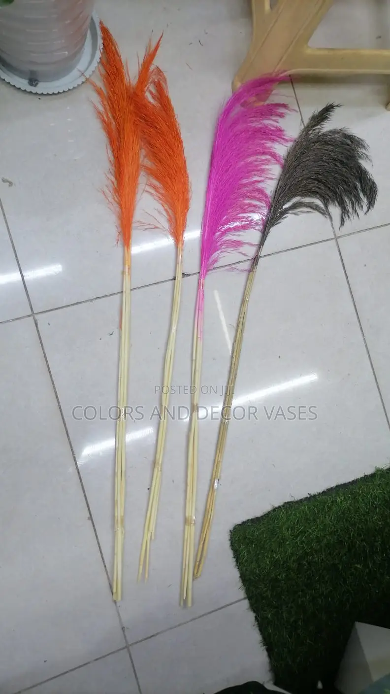 Pampas Grass Orange, Pink and Black