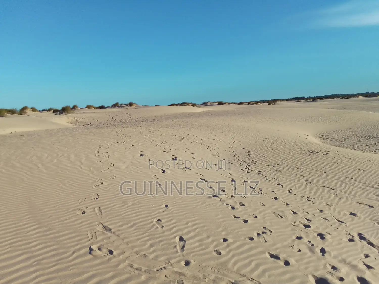 Mamburui Beach Land for Sale 6M Per Acre
