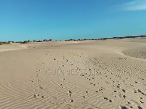 Mamburui Beach Land for Sale 6M Per Acre