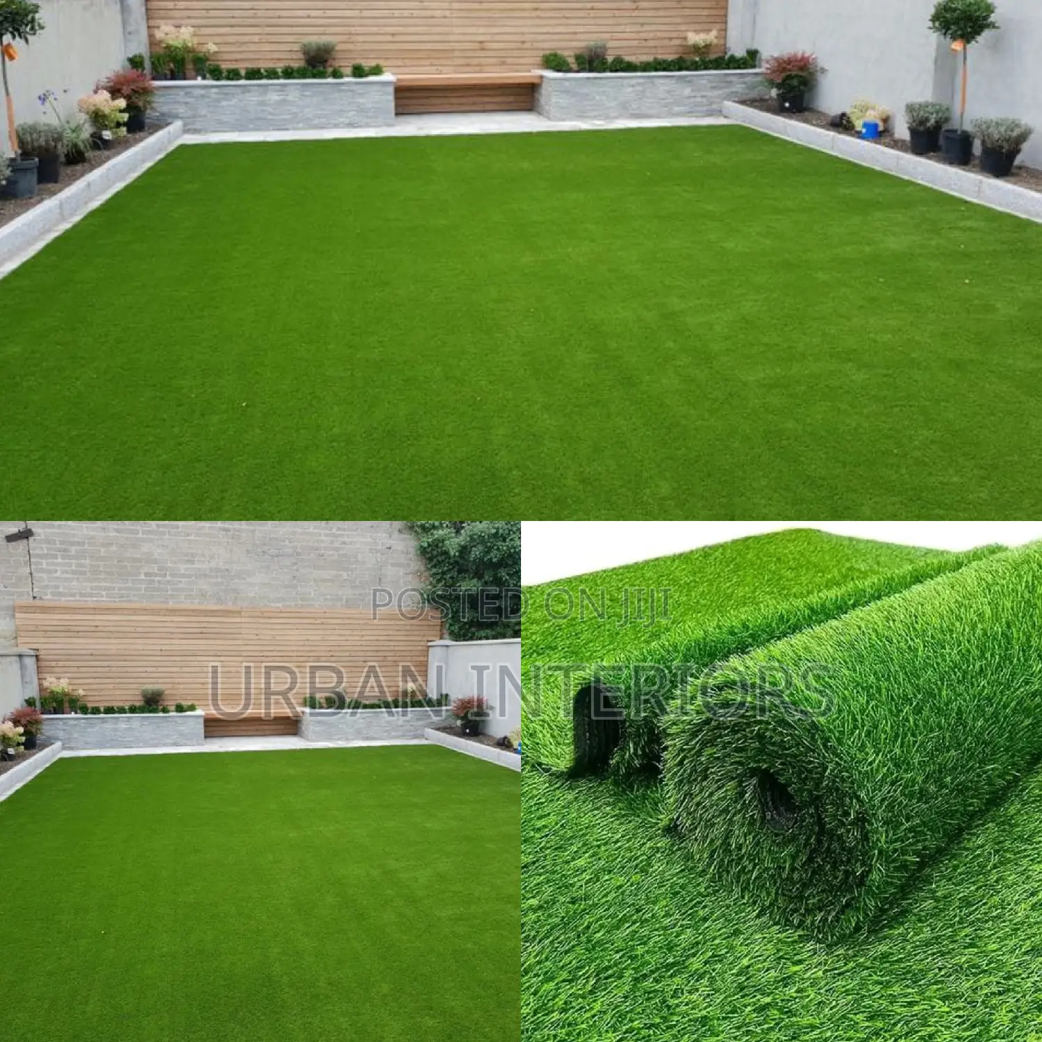 Grass Carpet Grass Carpet Grass Carpet Grass Carpet Grass