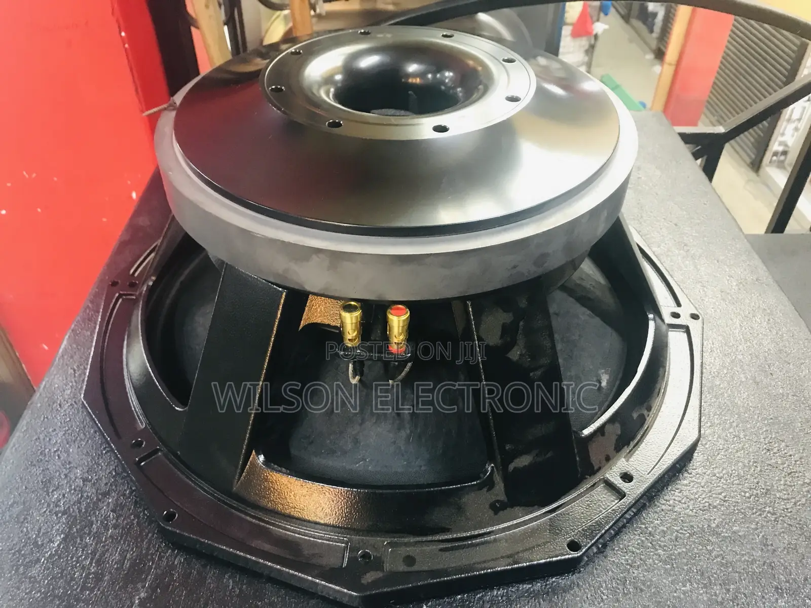 PD 1890 18’ Inches Naked Speaker.