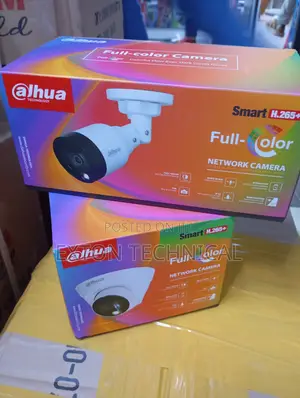 Full Color Indoor and Outdoor Ip Camera