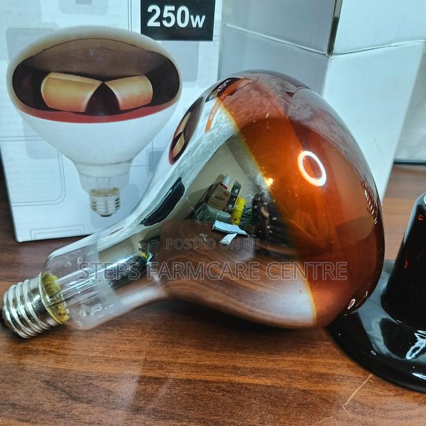 250 Watts Infrared, Quality Brooding Bulbs - main view