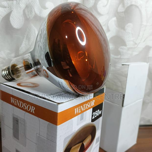 250 Watts Infrared, Quality Brooding Bulbs - thumbnail 2