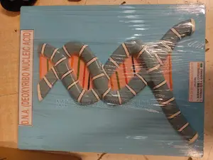 Model DNA Deoxyribonucleic Acid on Board 9x14" for Teaching