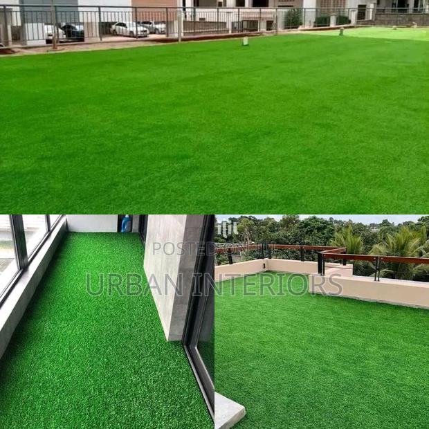 Grass Carpet Grass Carpet Grass Carpet Grass Carpet - main view